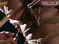 Sample 34