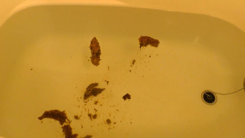 Sample 2