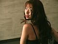 Sample 11