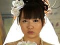 Sample 23