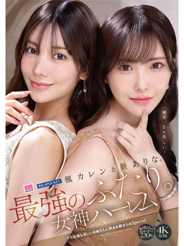 Sample 6