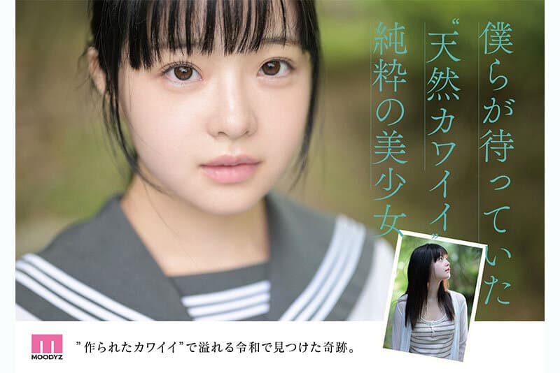 Sample 4
