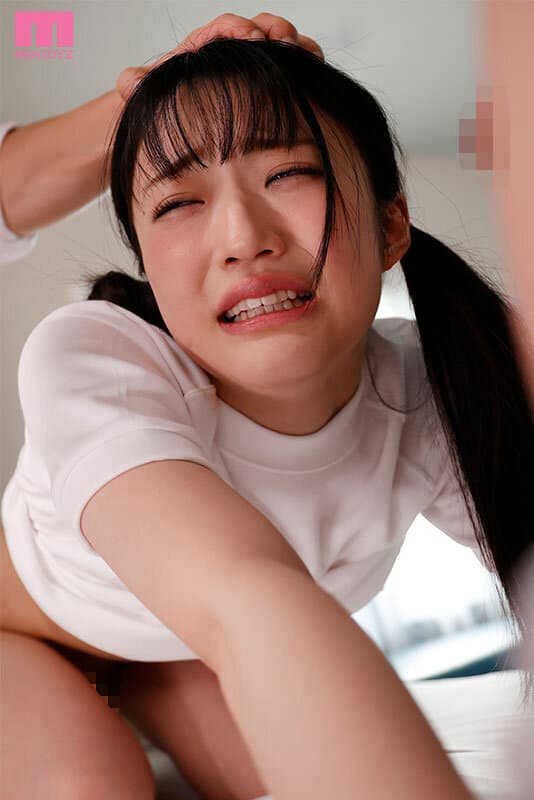 Sample 12