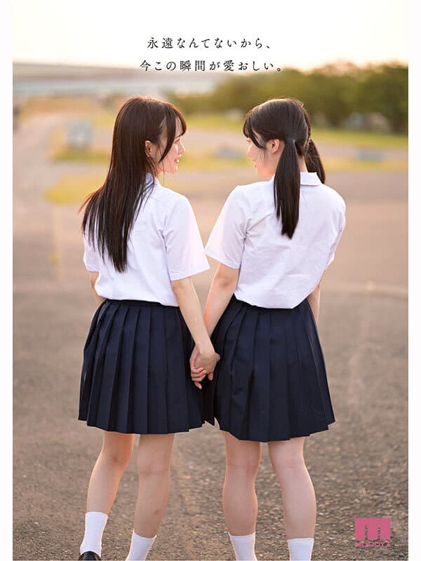 Sample 8