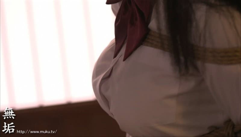 Sample 5