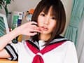 Sample 4