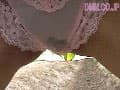 Sample 12