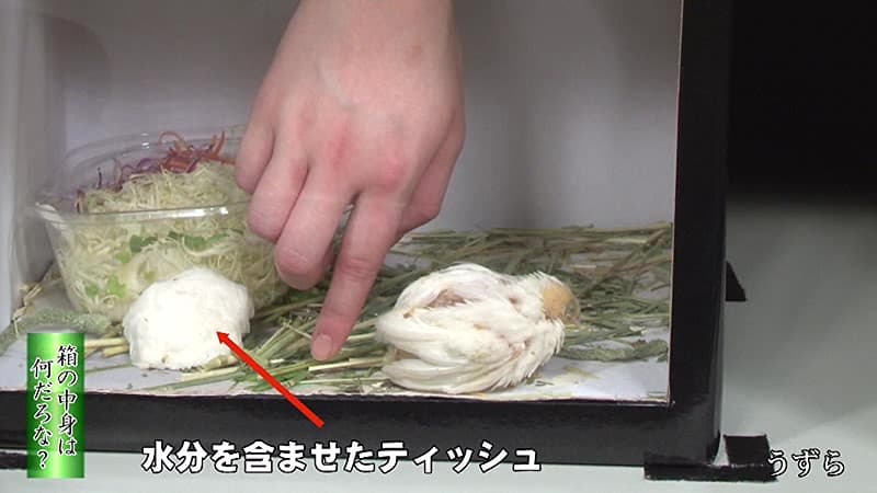 Sample 4