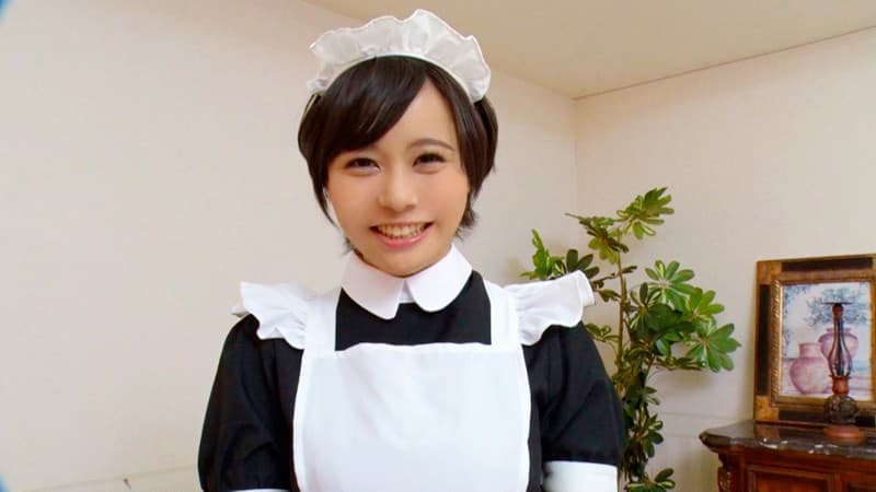 Sample 13
