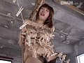 Sample 23