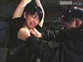 Sample 29