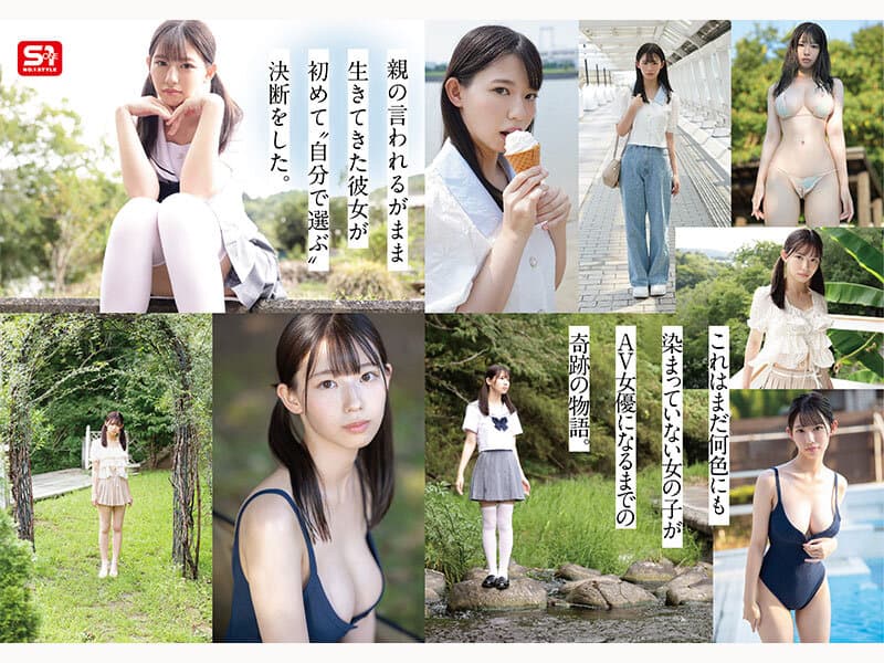 Sample 6