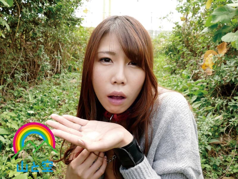 Sample 13