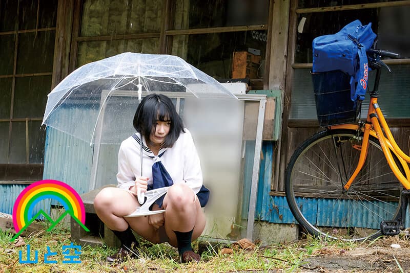 Sample 4