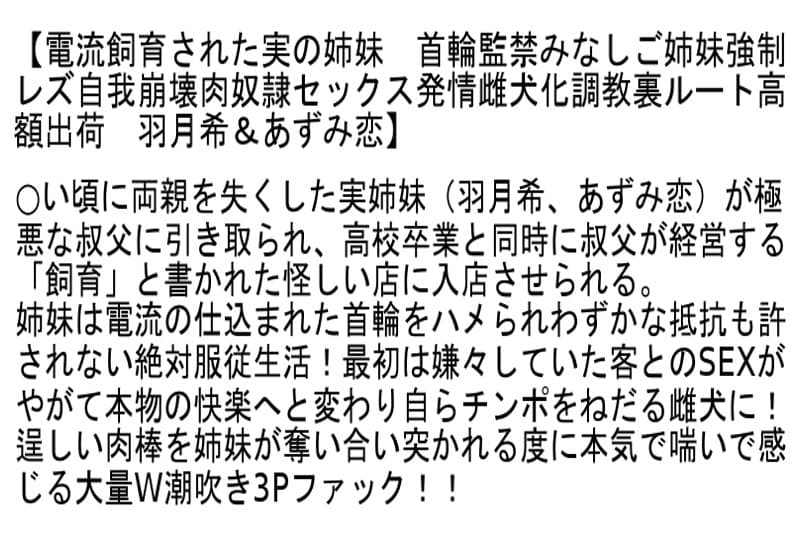 Sample 6