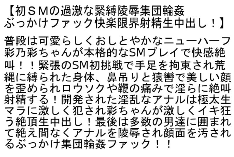 Sample 6