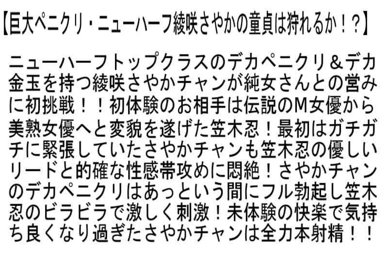 Sample 4