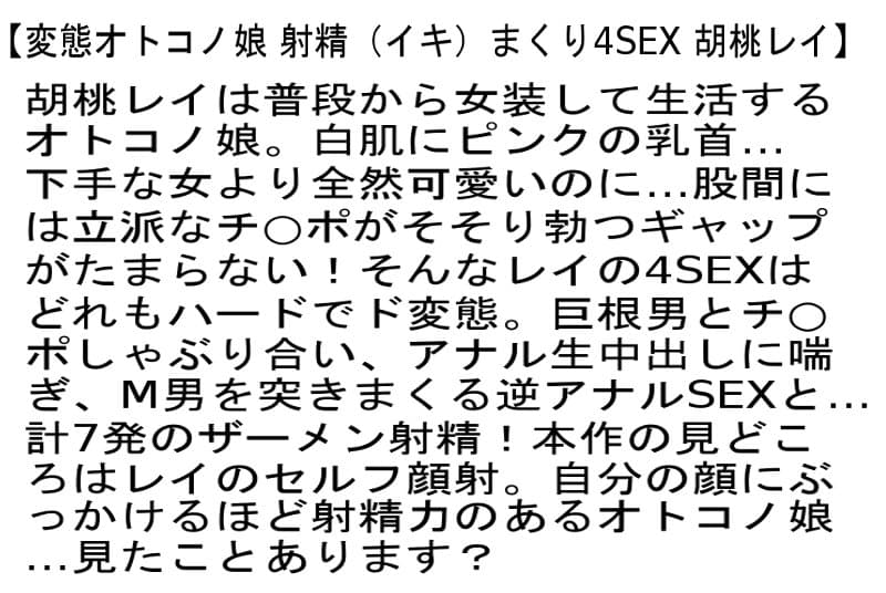 Sample 4