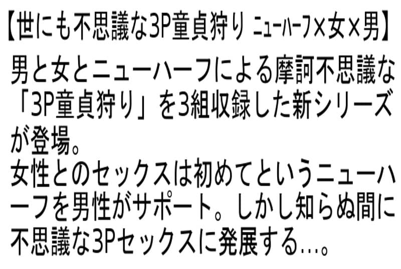 Sample 4