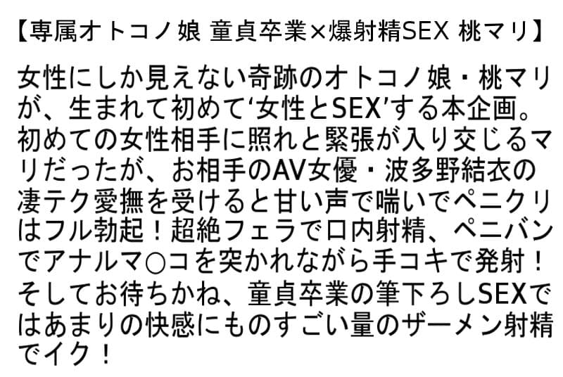 Sample 6