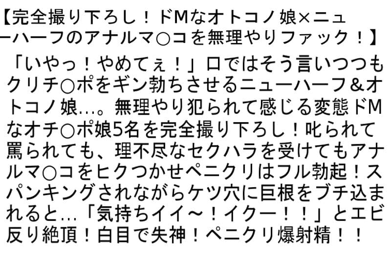 Sample 4