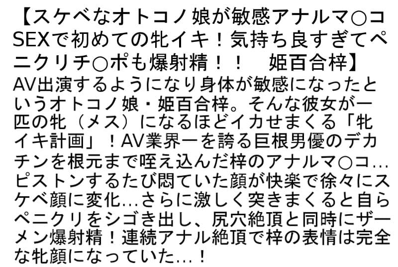 Sample 6