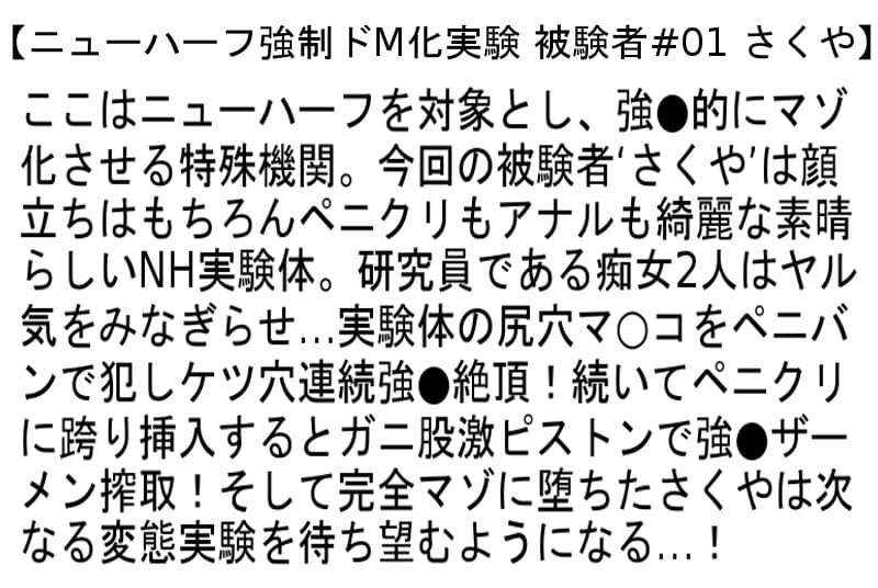 Sample 4