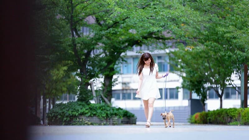 Sample 2